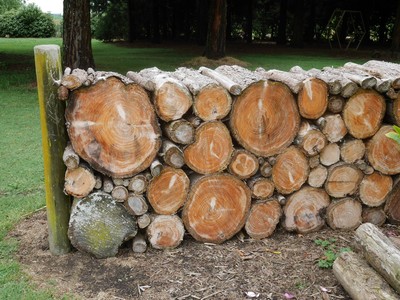 Fire wood stacked as a fence