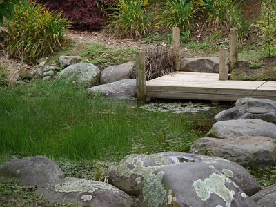 Pond area with rocks, boardwalk, grasses