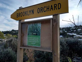 Brooklyn Community Orchard sign