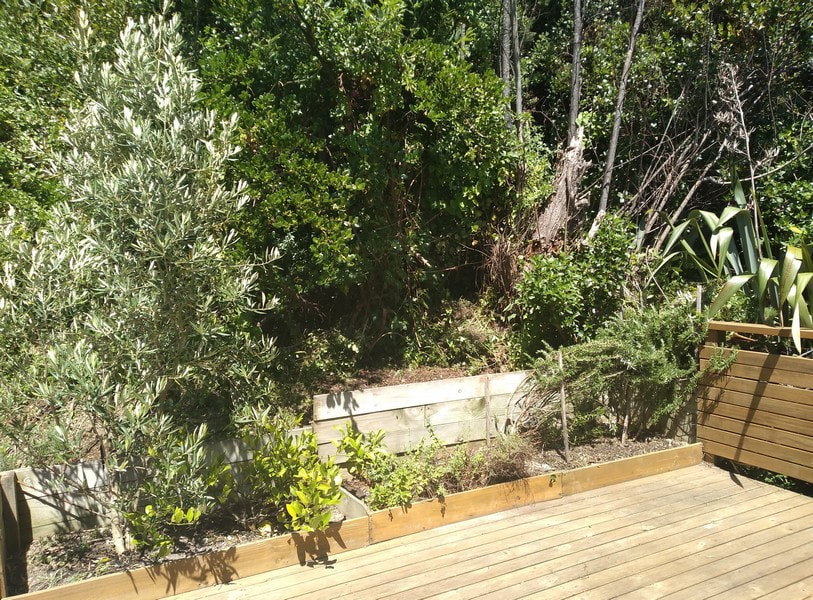 Weeded and tidied up the plants here.  They had blown towards the deck.