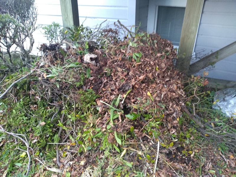 The compost pile we started under the stairs. we're looking at options to contain this.
